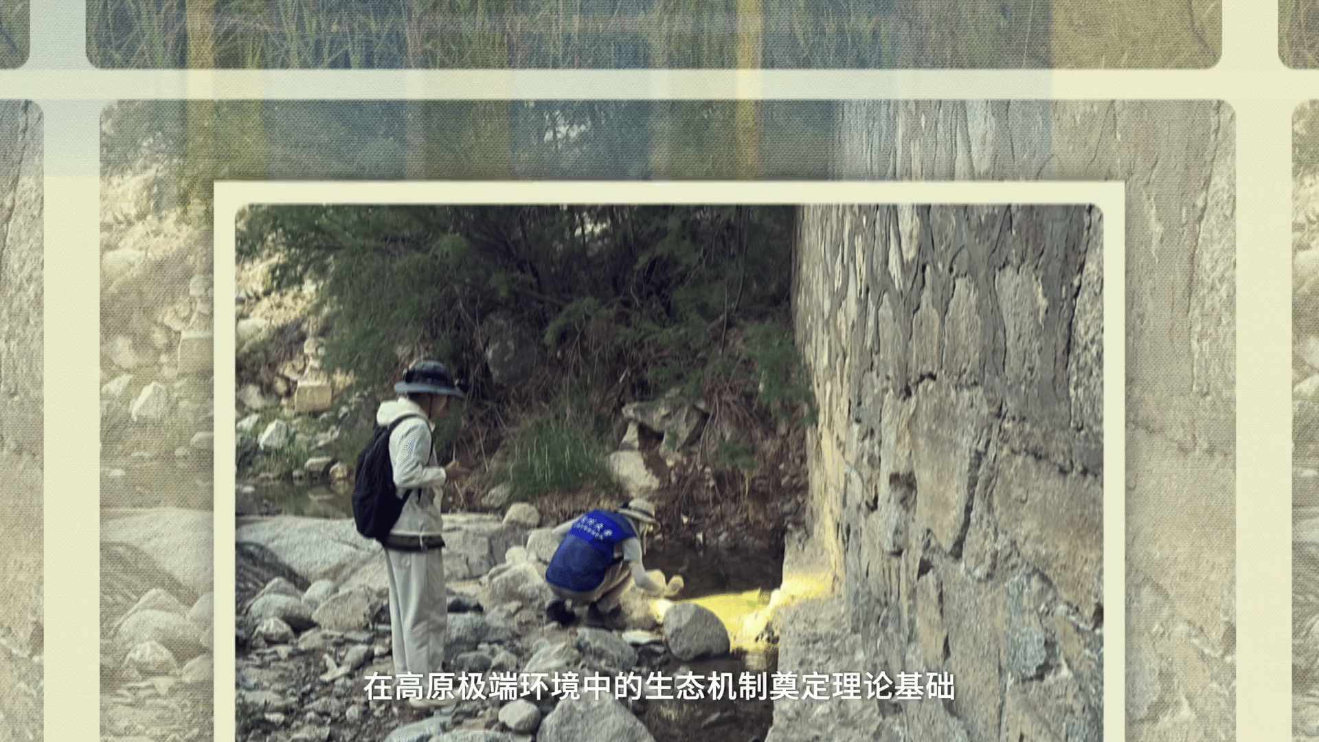 管家婆辉煌版功能